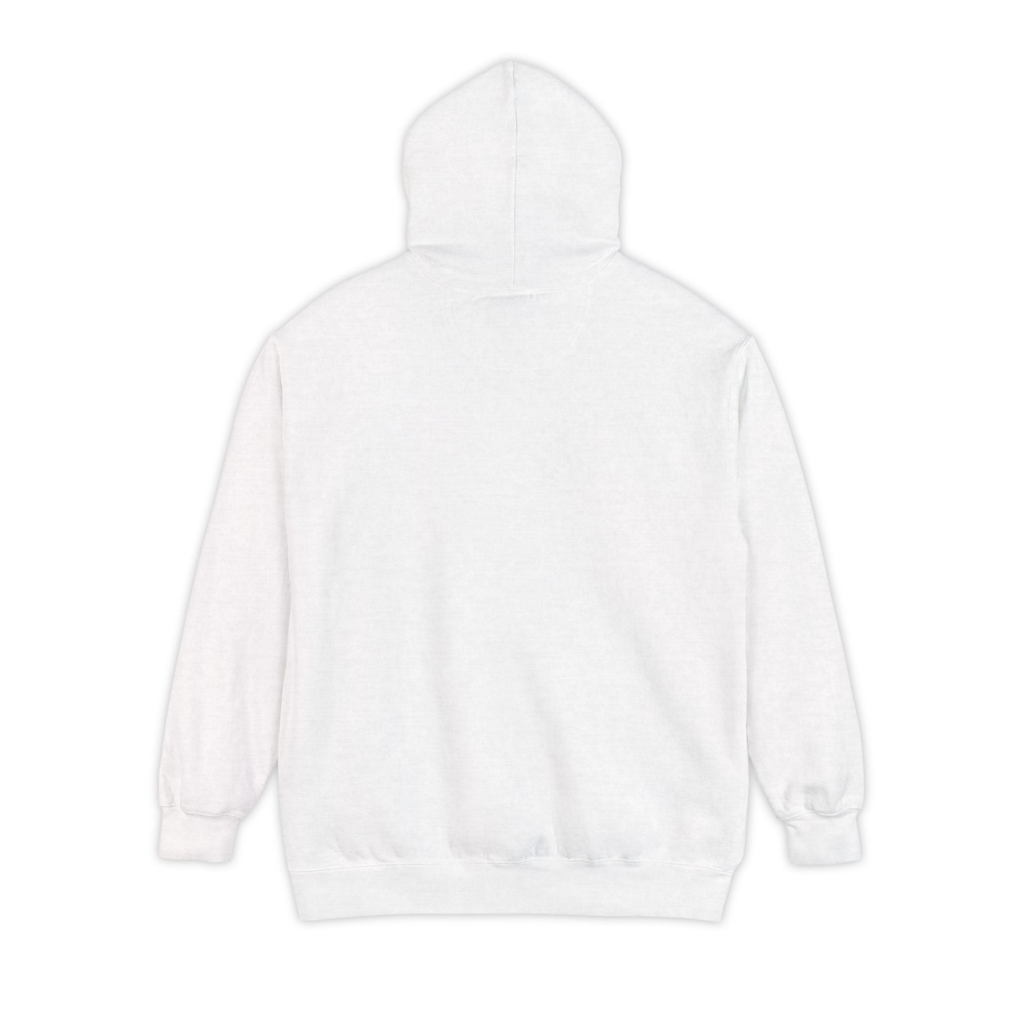 Copy of Unisex Garment-Dyed Hoodie
